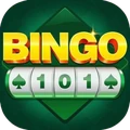 Bingo 101